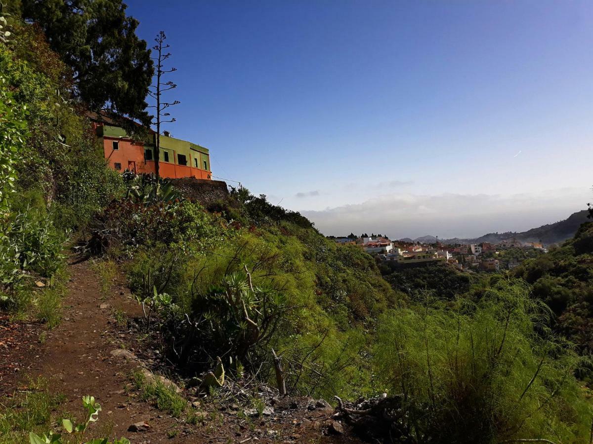 Camino Art House Leilighet Vega de San Mateo Eksteriør bilde