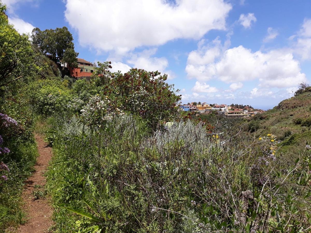 Camino Art House Leilighet Vega de San Mateo Eksteriør bilde
